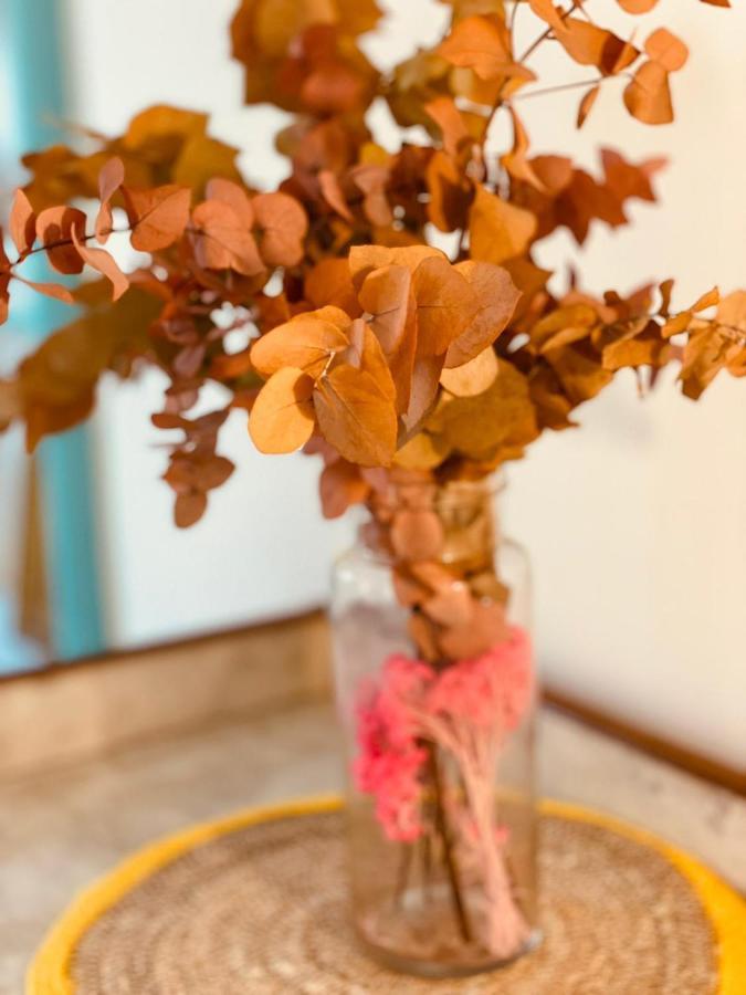 Appart Hotel Jaures - Boutique Apartments ニース エクステリア 写真