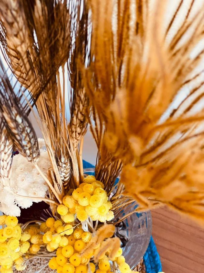 Appart Hotel Jaures - Boutique Apartments ニース エクステリア 写真